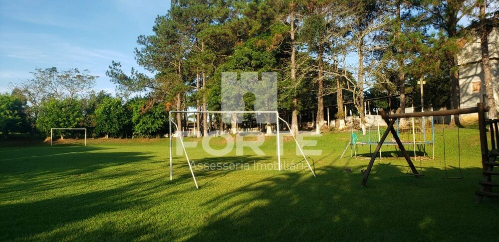 Chácara, 4 quartos, 4 hectares - Foto 12