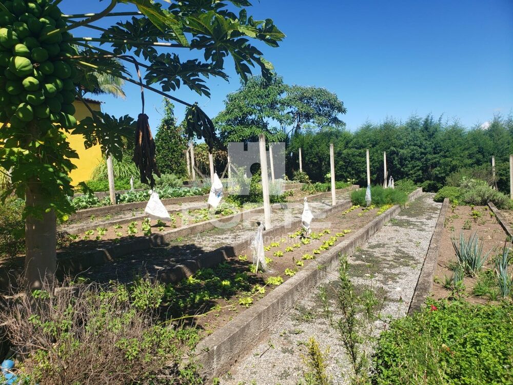 Chácara, 4 quartos, 4 hectares - Foto 14