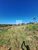 Terreno, 2000 m² - Foto 4