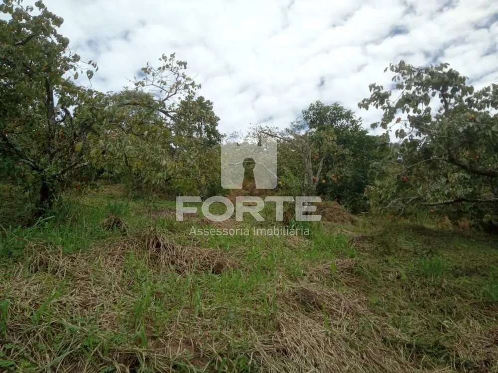 Sítio, 1 quarto, 200000 m² - Foto 9