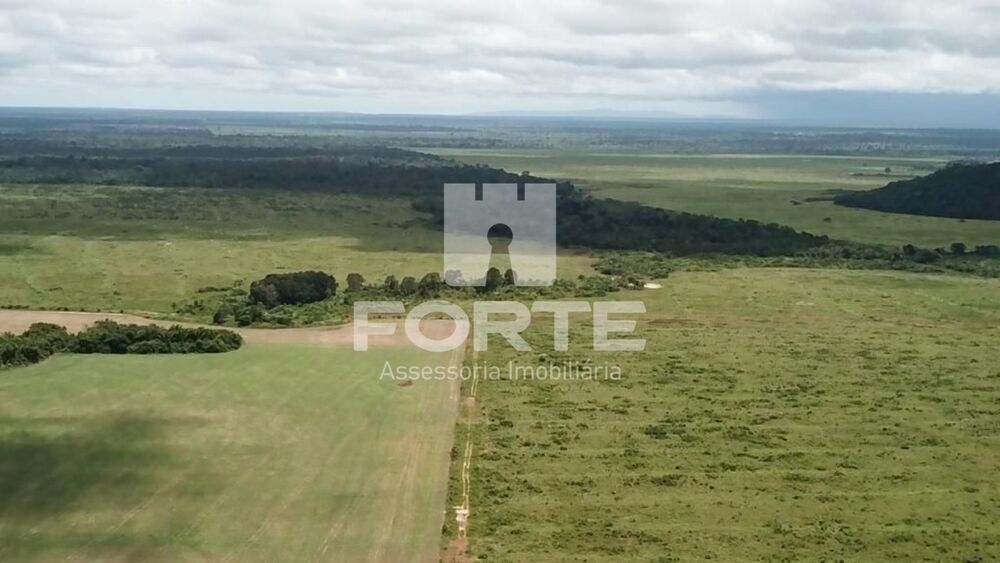 Fazenda, 2 hectares - Foto 3