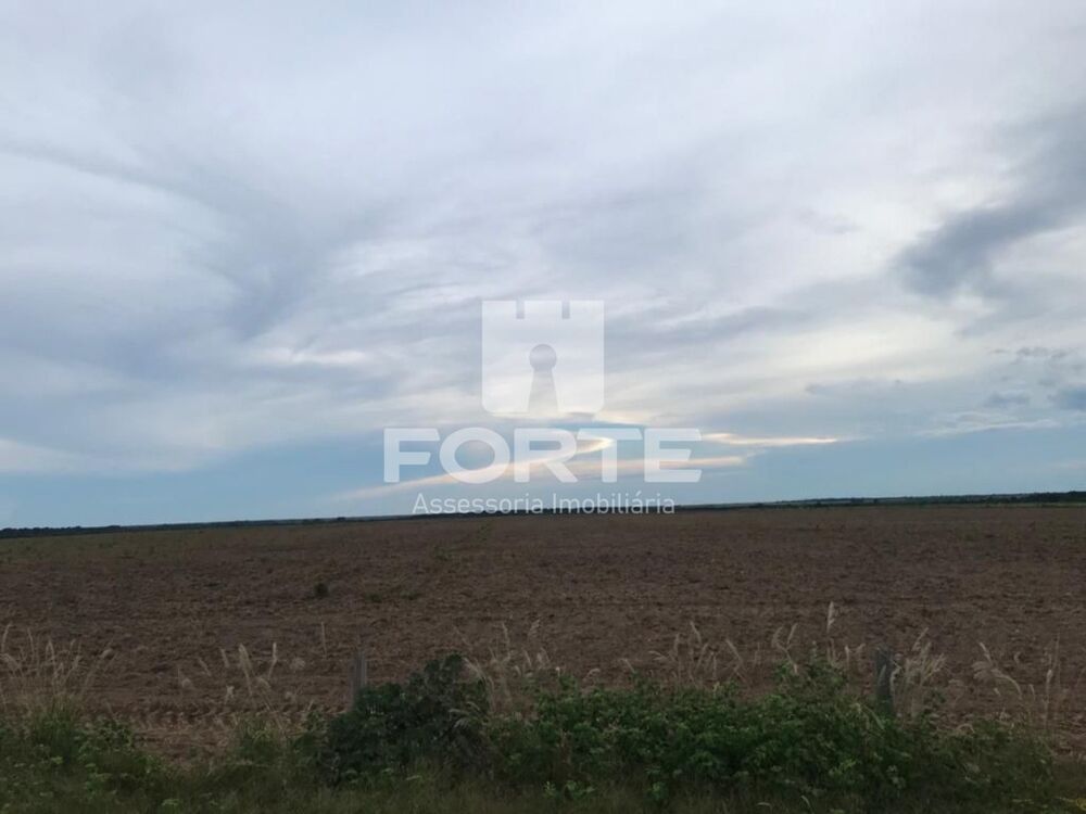 Fazenda, 2 hectares - Foto 4