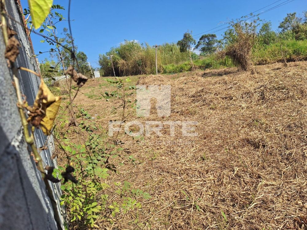 Terreno, 1050 m² - Foto 2