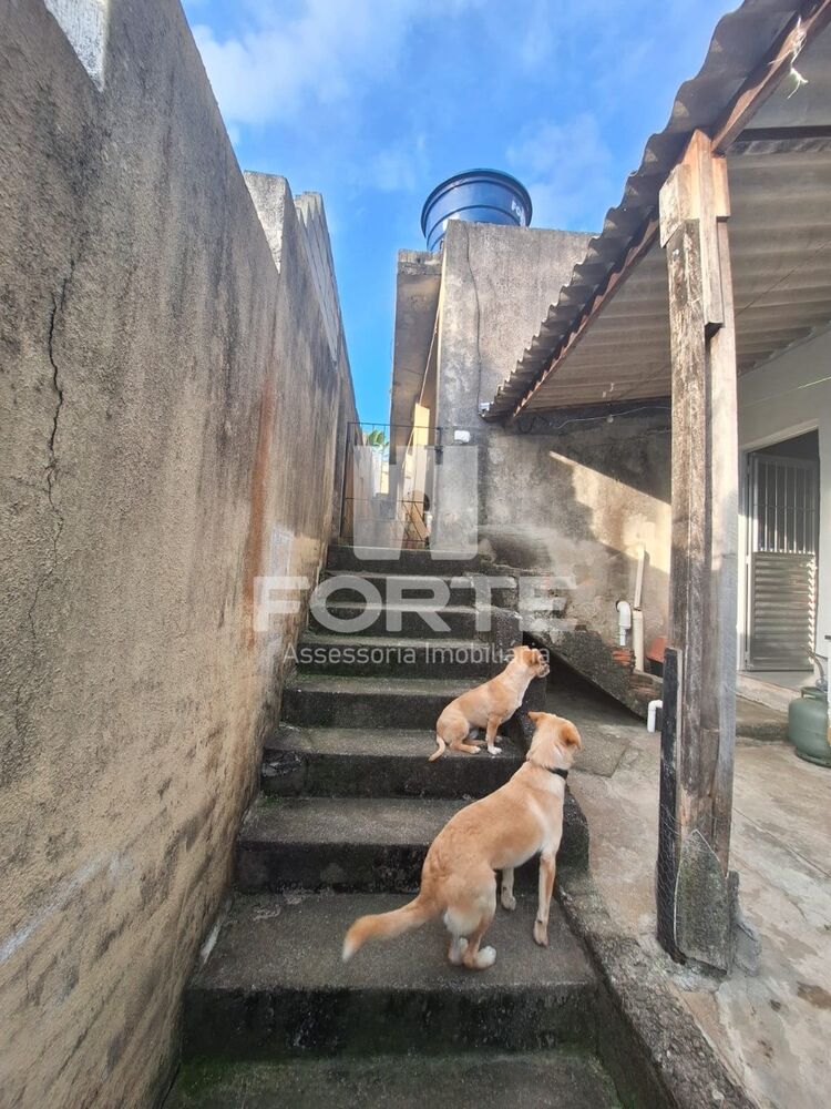 Casa, 3 quartos, 268 m² - Foto 22