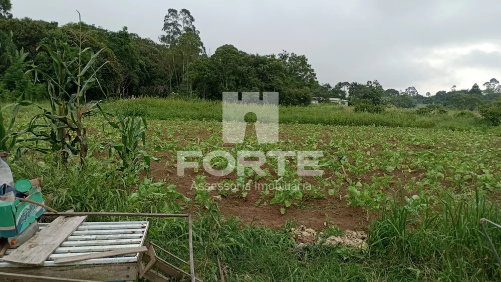Terreno, 4000 m² - Foto 3