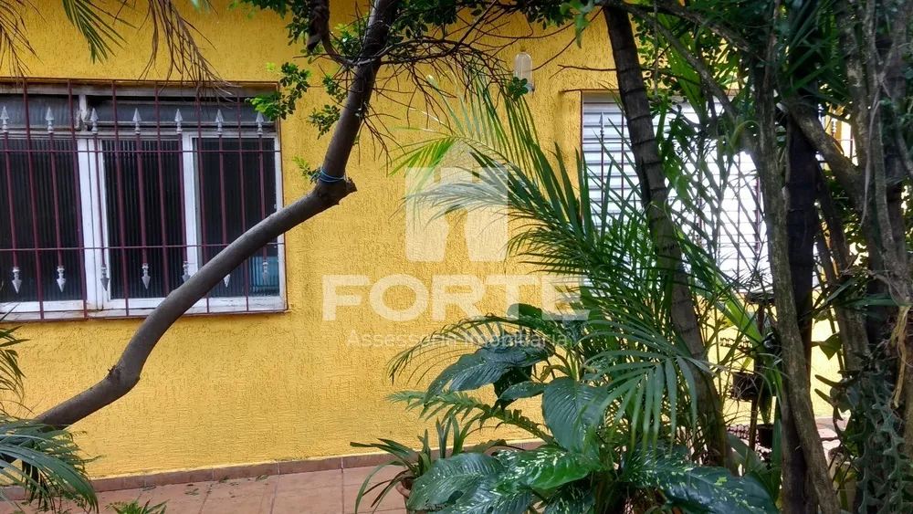 Casa, 4 quartos - Foto 11