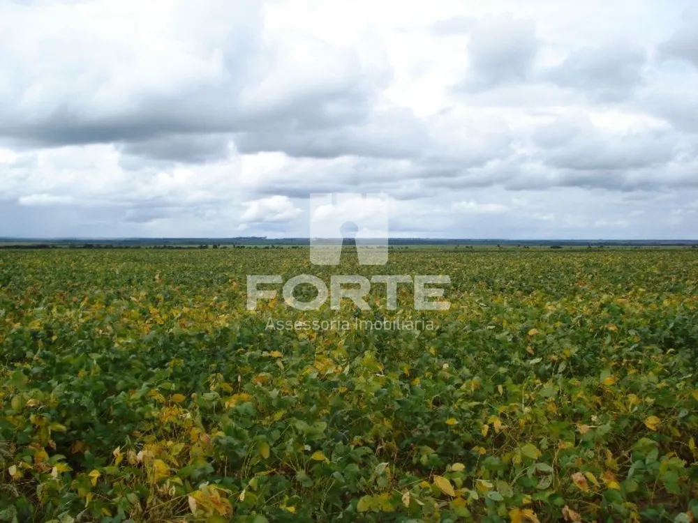 Fazenda, 1 hectares - Foto 9