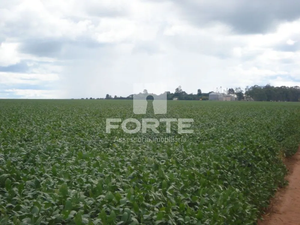 Fazenda, 1 hectares - Foto 12