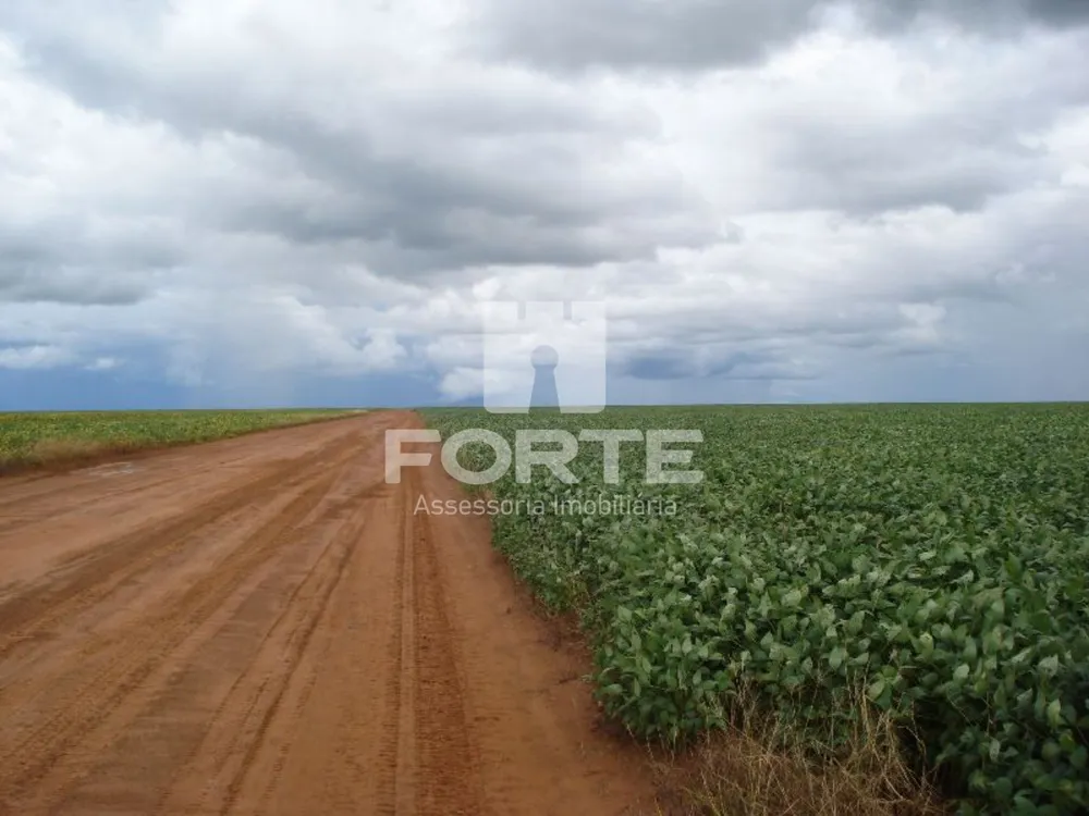 Fazenda, 1 hectares - Foto 11