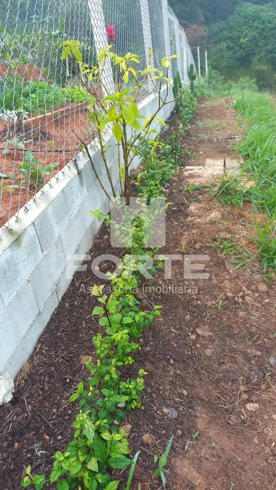Terreno, 1000 m² - Foto 3