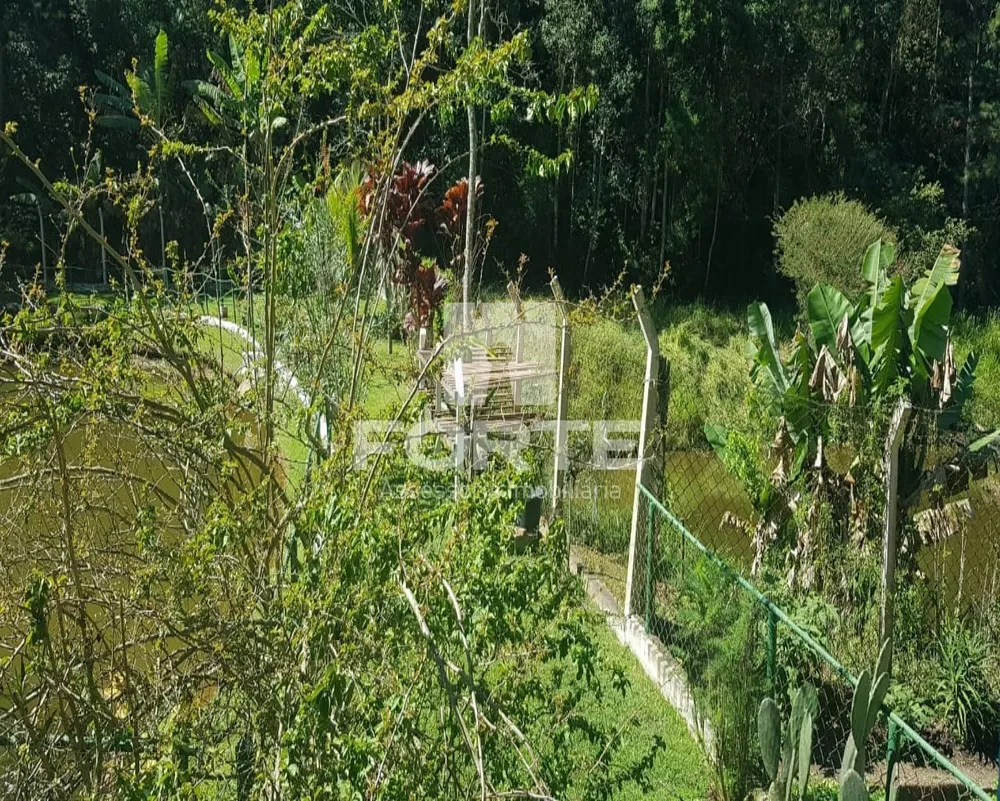 Chácara, 5 quartos, 1 hectares - Foto 13