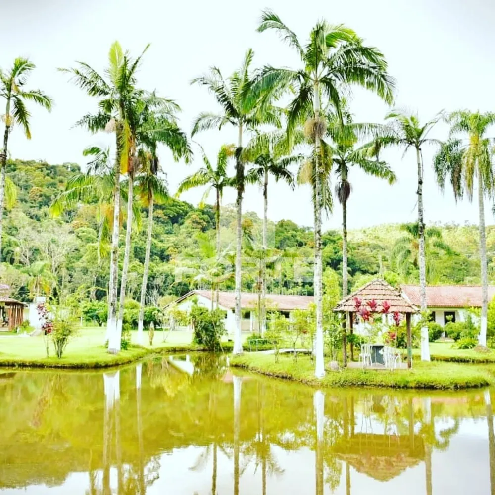 Chácara, 7 quartos, 2 hectares - Foto 4