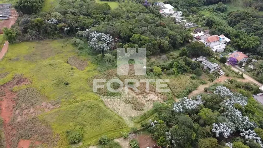 Terreno, 3 hectares - Foto 4