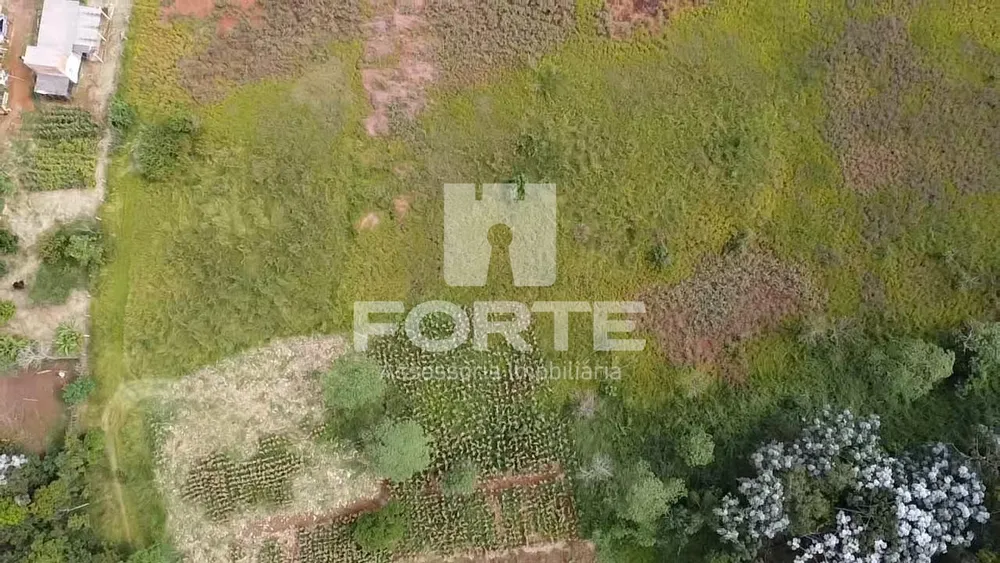 Terreno, 3 hectares - Foto 6