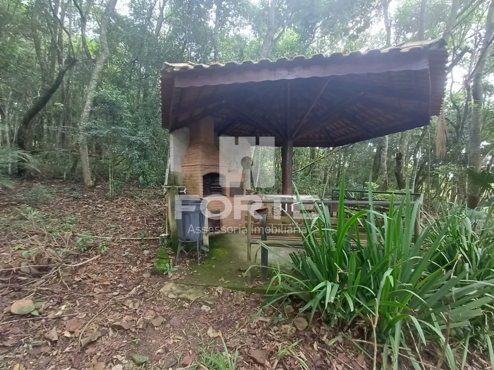 Terreno, 3 hectares - Foto 1