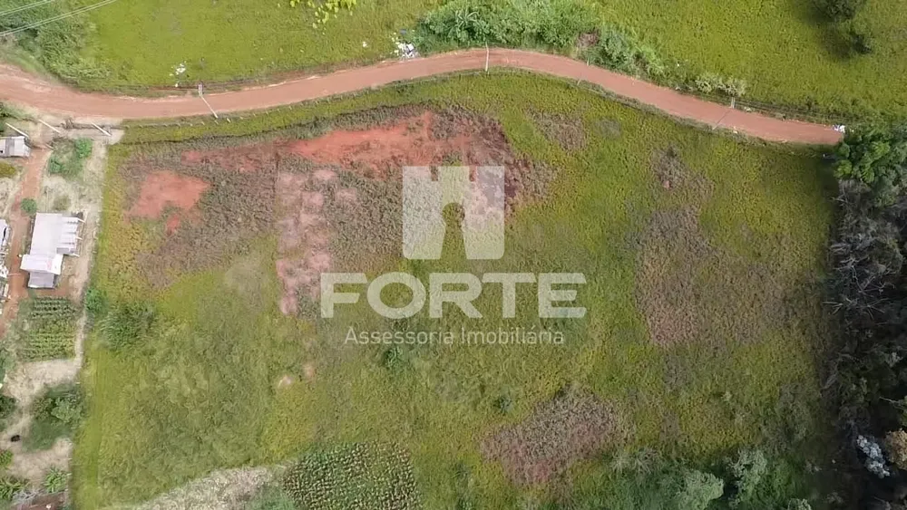 Terreno, 3 hectares - Foto 7