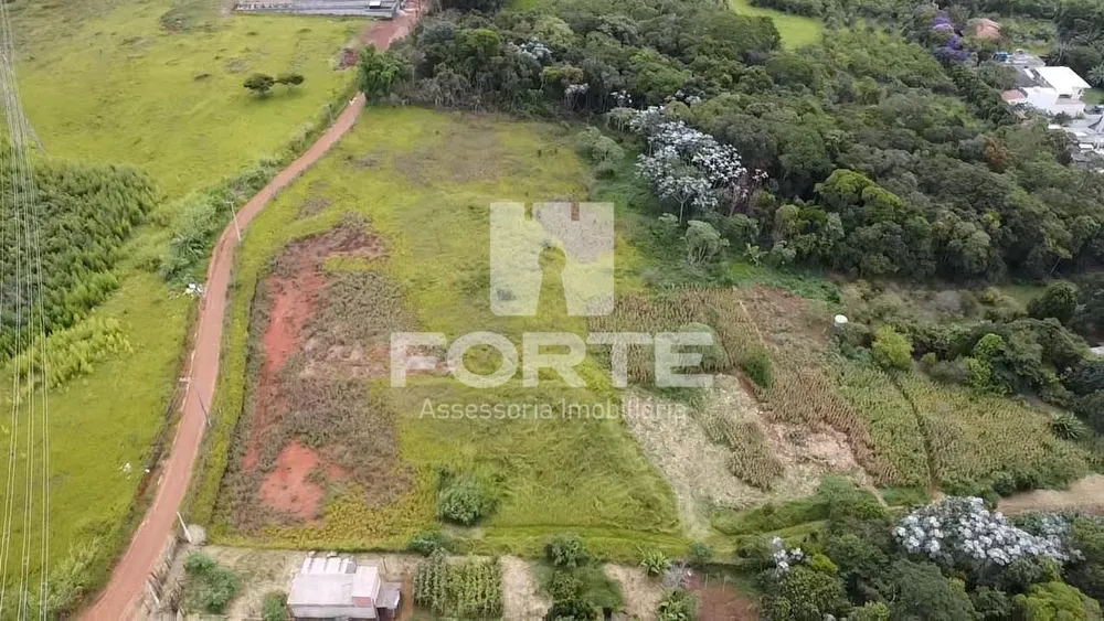 Terreno, 3 hectares - Foto 3