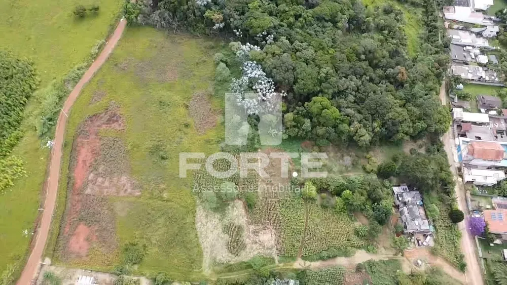 Terreno, 3 hectares - Foto 2