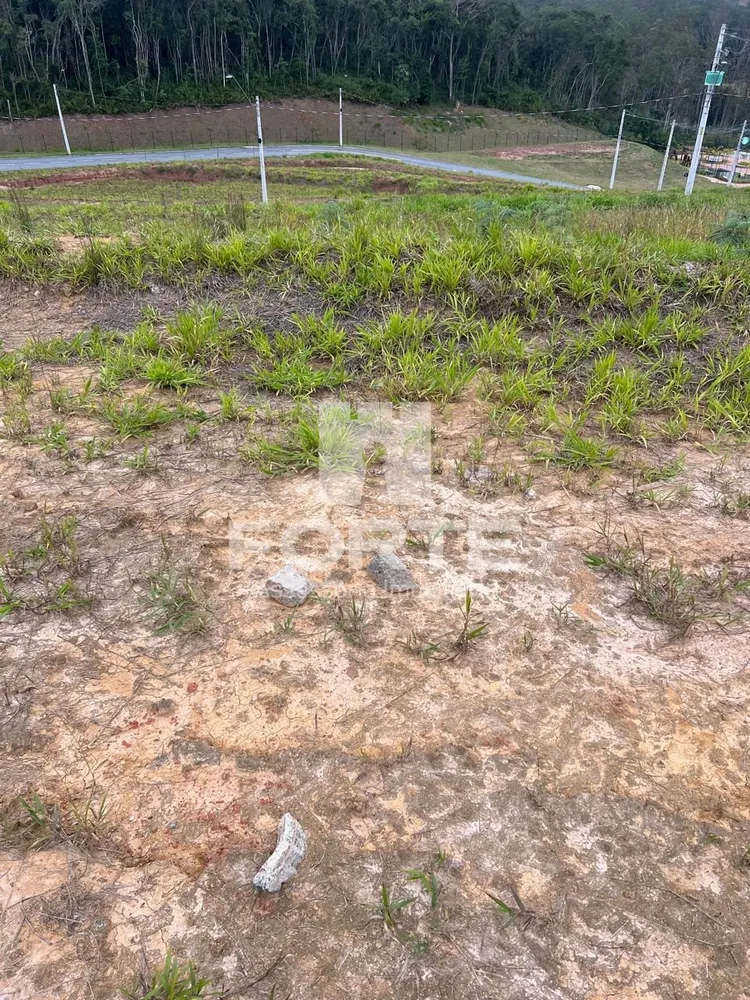 Terreno, 250 m² - Foto 2