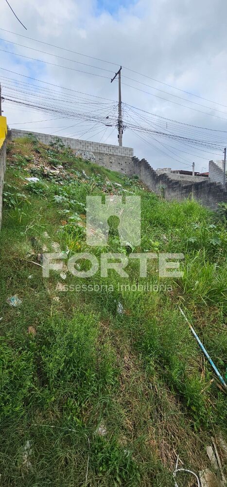 Terreno, 250 m² - Foto 2