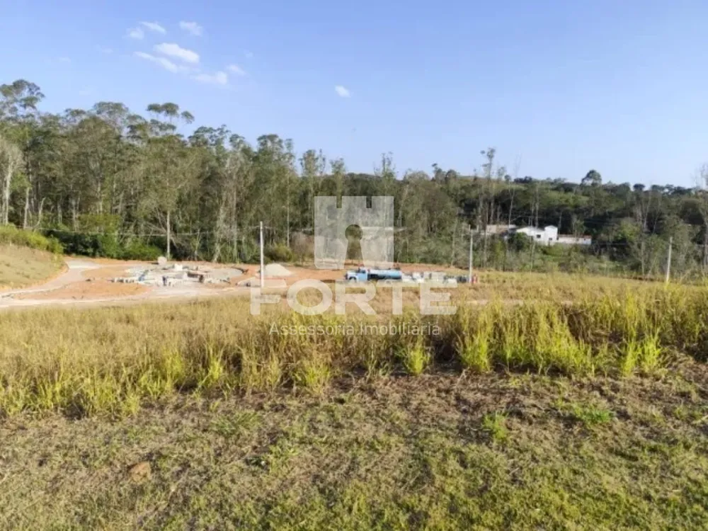 Terreno, 250 m² - Foto 1