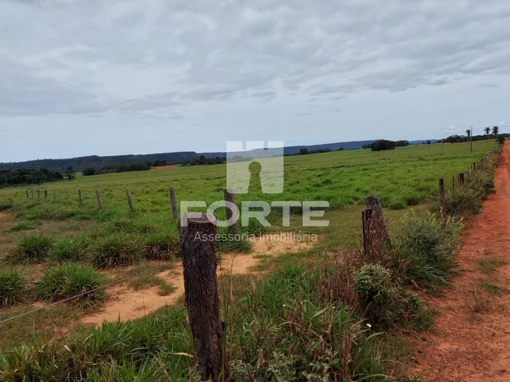 Fazenda, 3900 m² - Foto 11