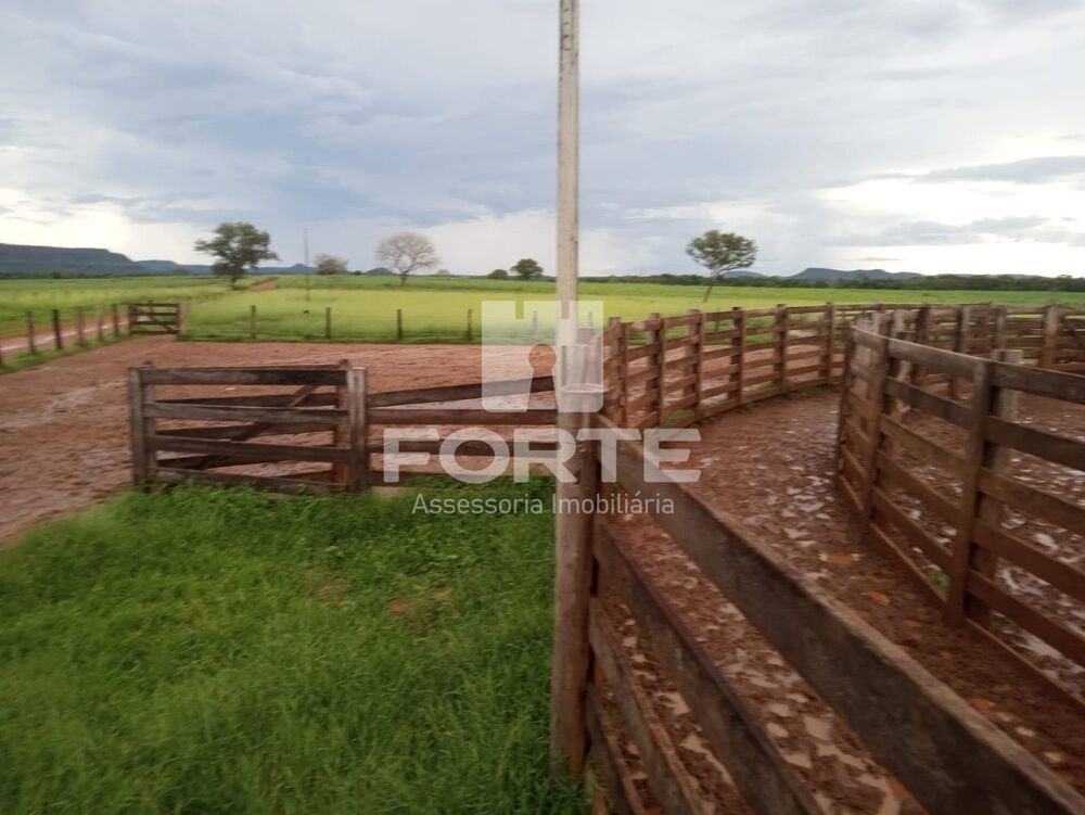 Fazenda, 3900 m² - Foto 7