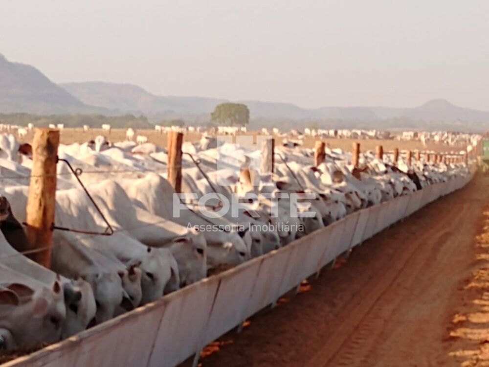 Fazenda, 3900 m² - Foto 4