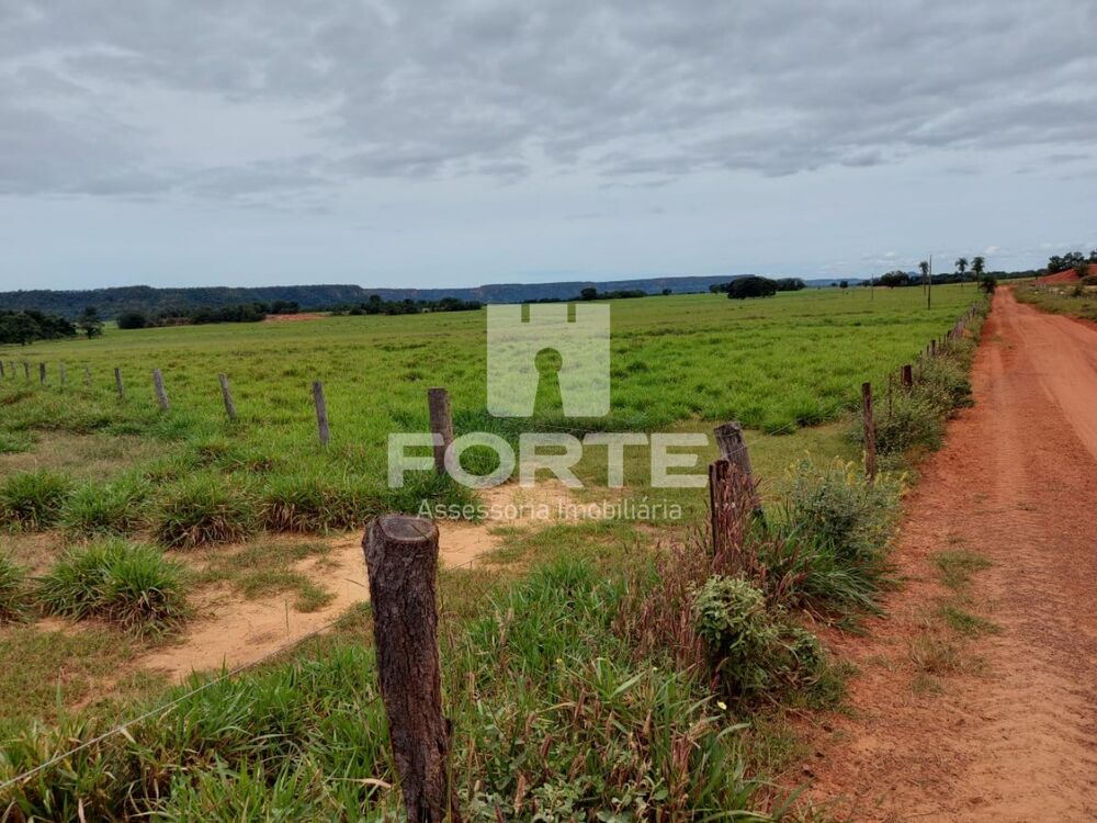 Fazenda, 3900 m² - Foto 6