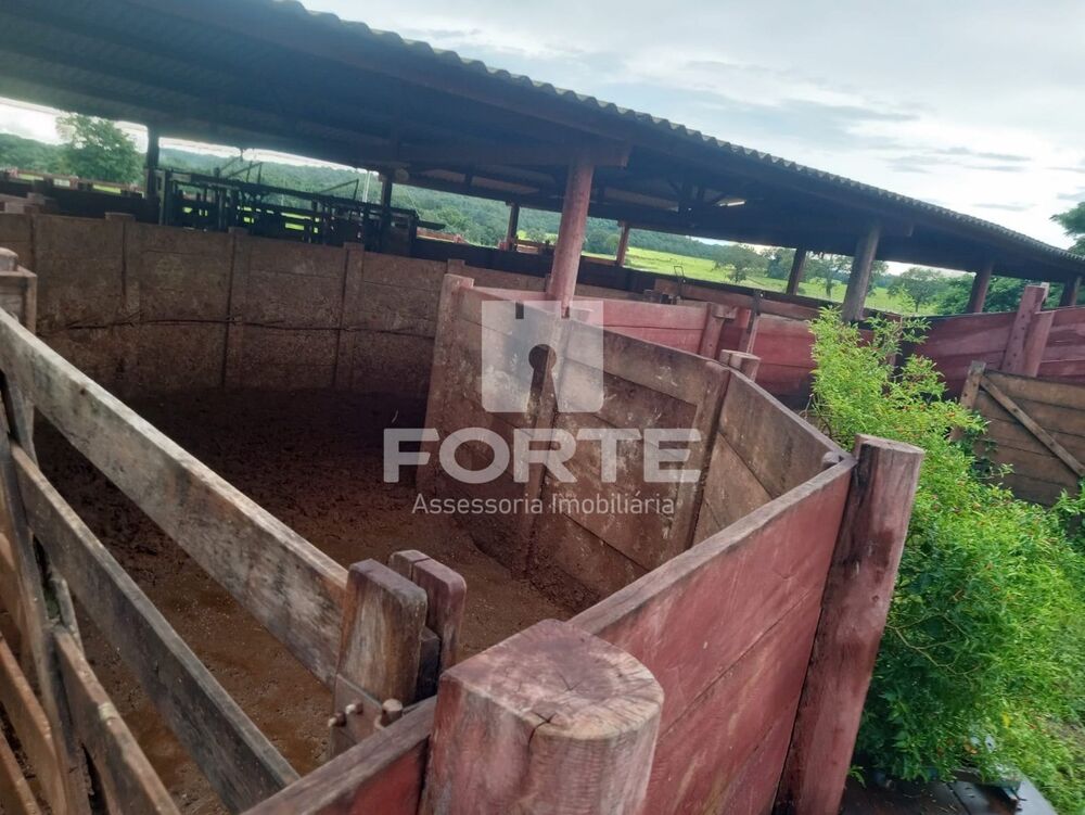 Fazenda, 3900 m² - Foto 5