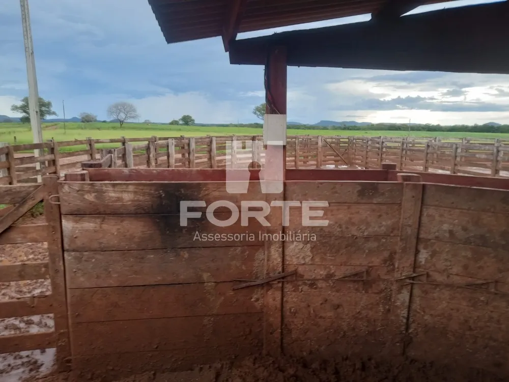 Fazenda, 3900 m² - Foto 3