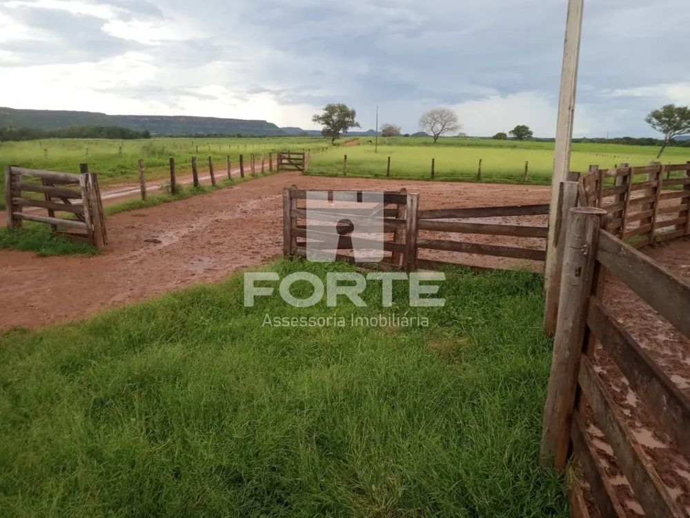 Fazenda, 3900 m² - Foto 5