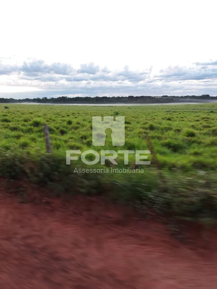Fazenda, 3900 m² - Foto 12