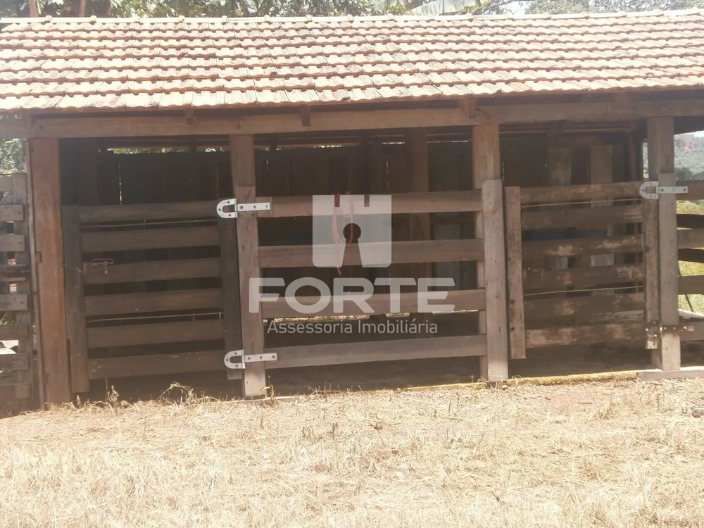 Fazenda, 3900 m² - Foto 7