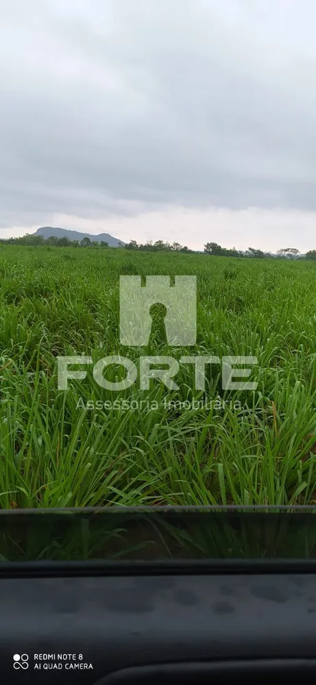 Fazenda, 3900 m² - Foto 13