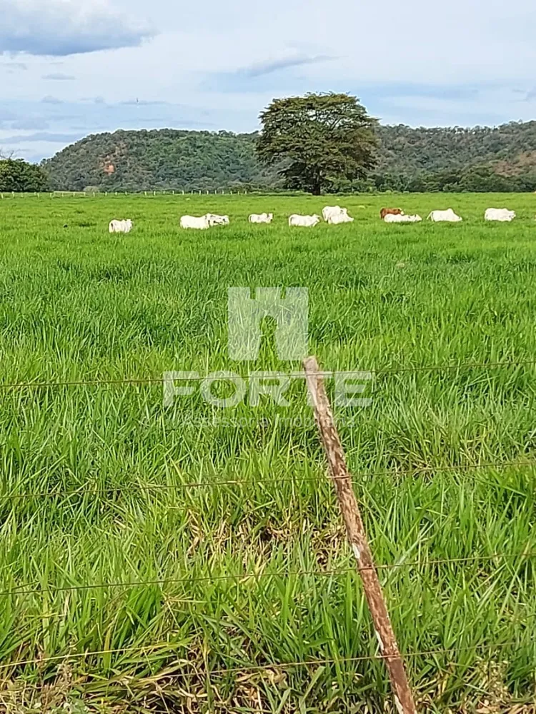 Fazenda, 3900 m² - Foto 16