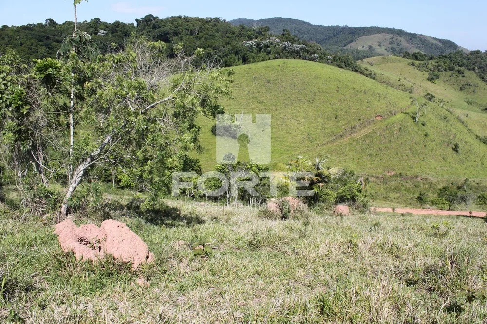 Terreno, 9 hectares - Foto 7