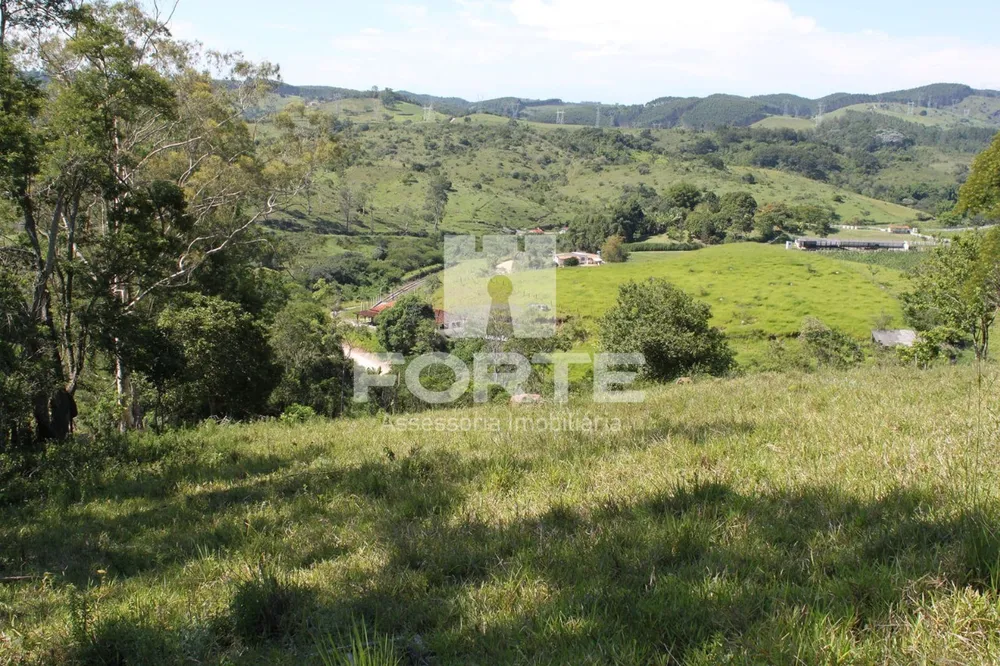 Terreno, 9 hectares - Foto 6