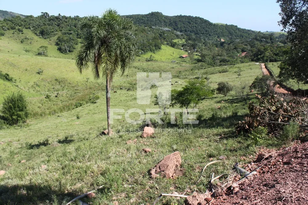 Terreno, 9 hectares - Foto 4
