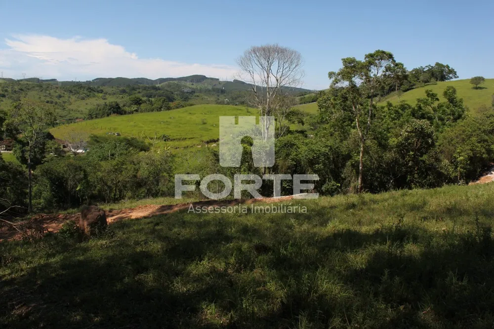 Terreno, 9 hectares - Foto 8
