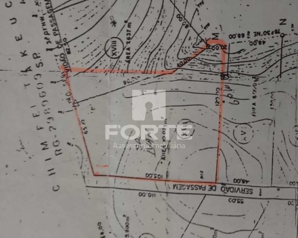 Chácara, 3 quartos, 10000 m² - Foto 16