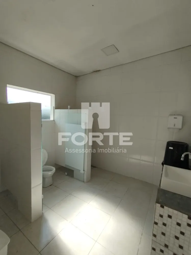 Sítio, 4 quartos, 2 hectares - Foto 11