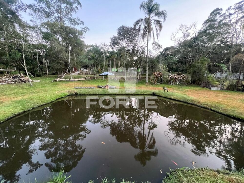 Chácara, 5 quartos, 2 hectares - Foto 3