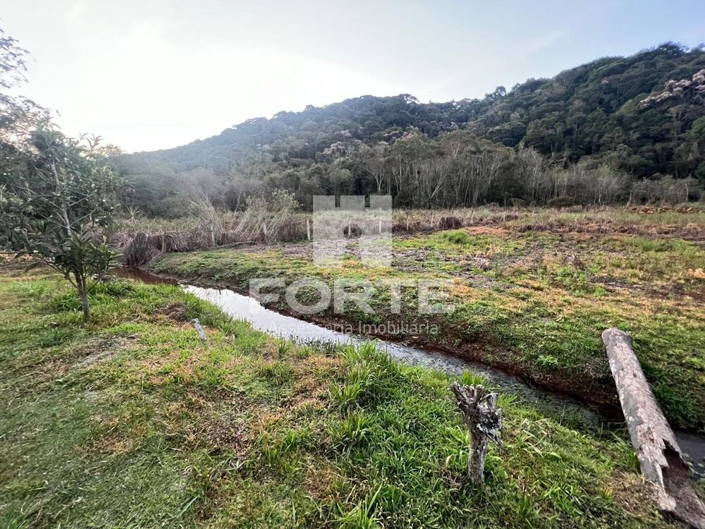 Chácara, 5 quartos, 2 hectares - Foto 13