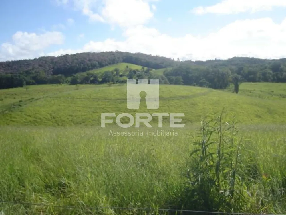 Fazenda, 19 hectares - Foto 10