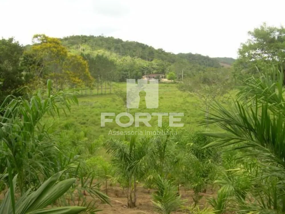 Fazenda, 19 hectares - Foto 9