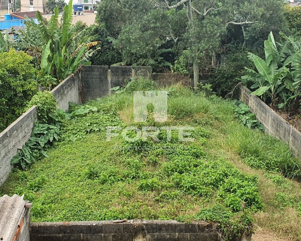 Casa, 3 quartos, 242 m² - Foto 11