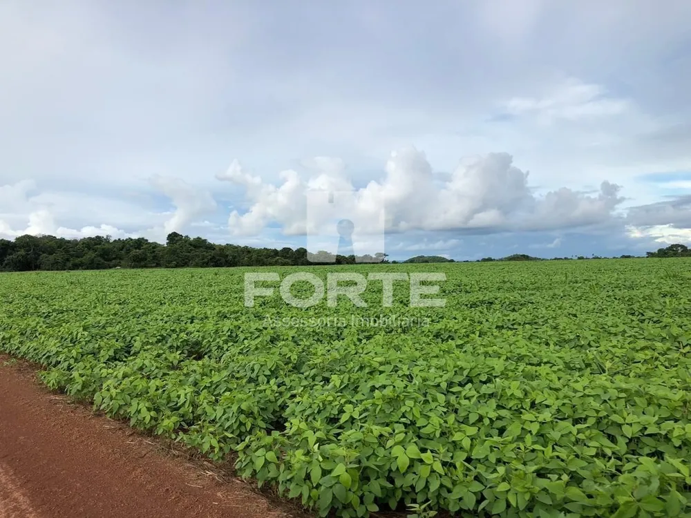 Fazenda, 4 hectares - Foto 7