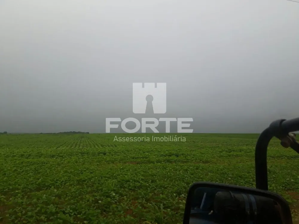 Fazenda, 4 hectares - Foto 6