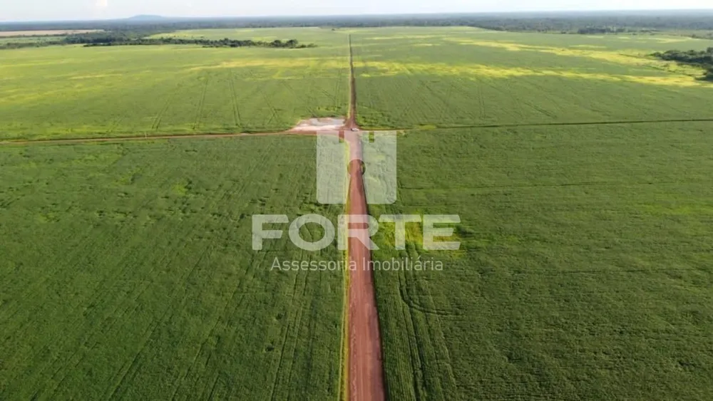 Fazenda, 4 hectares - Foto 8